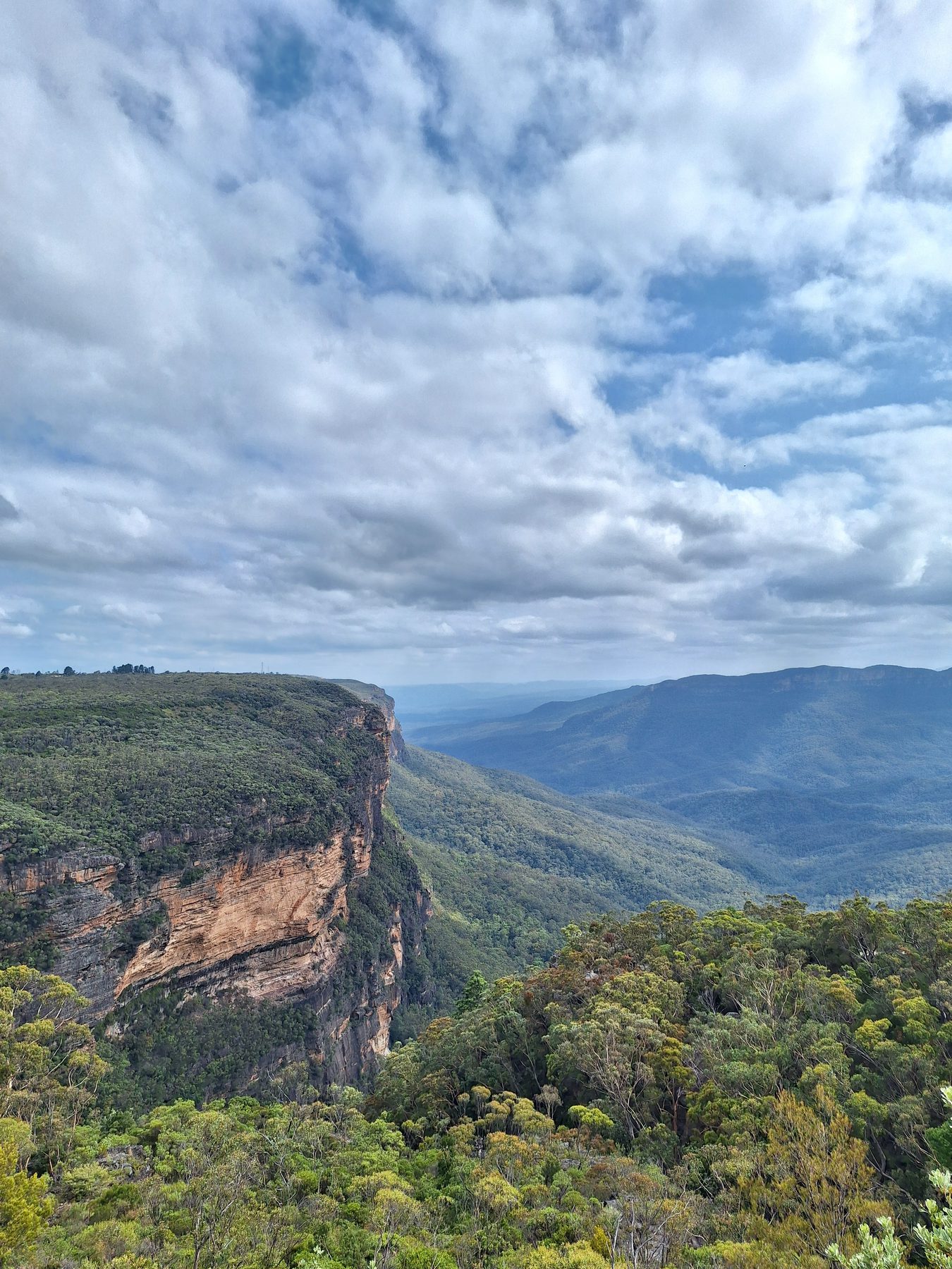 Sandstone escarpment above forested valleys in the Blue Mountains