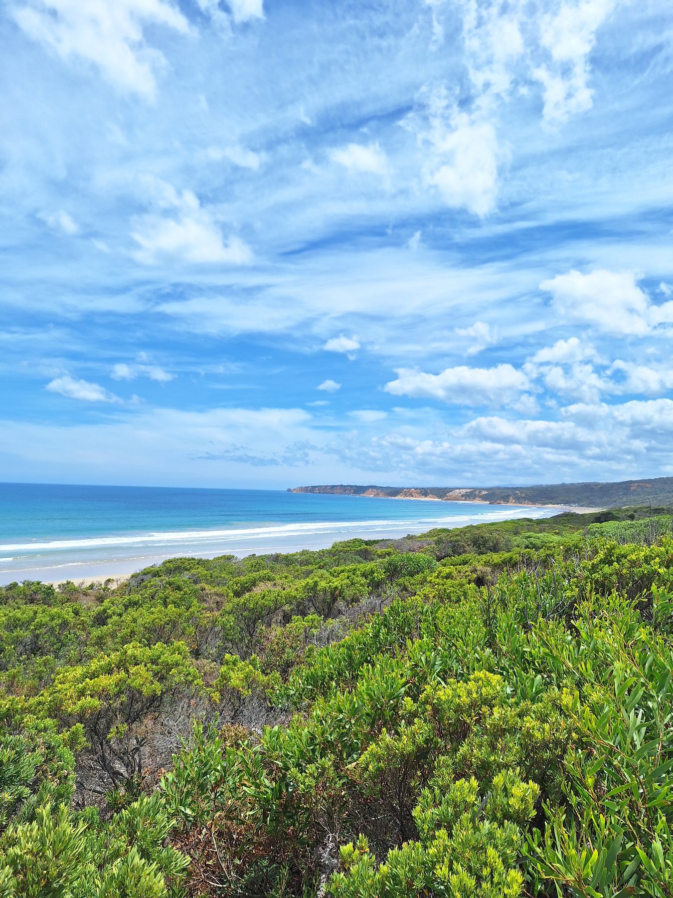 A curving bay and beach seen from the cliffs above the Great Ocean Road