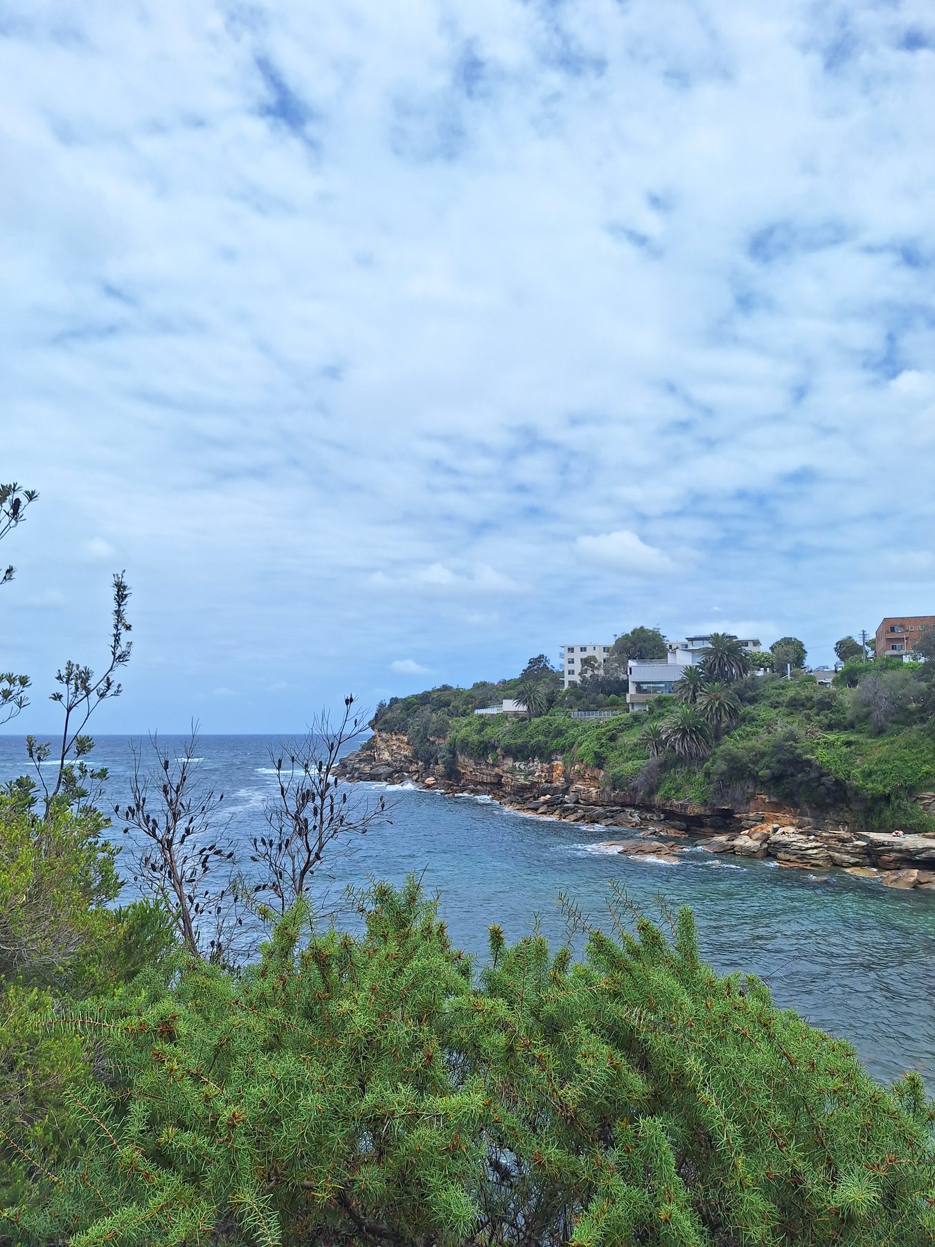 Cliffs, scrub and clear water along the eastern beaches coastal walk in Sydney