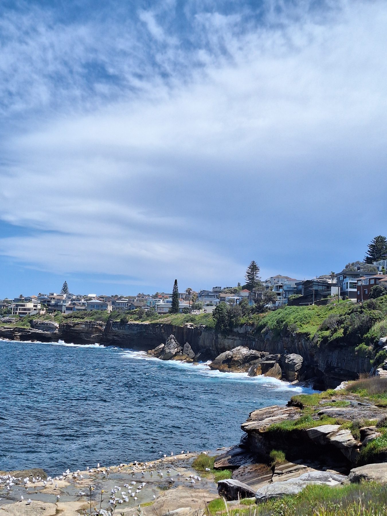 Sandstone cliffs and houses above the sea on Sydney's eastern coastal walk