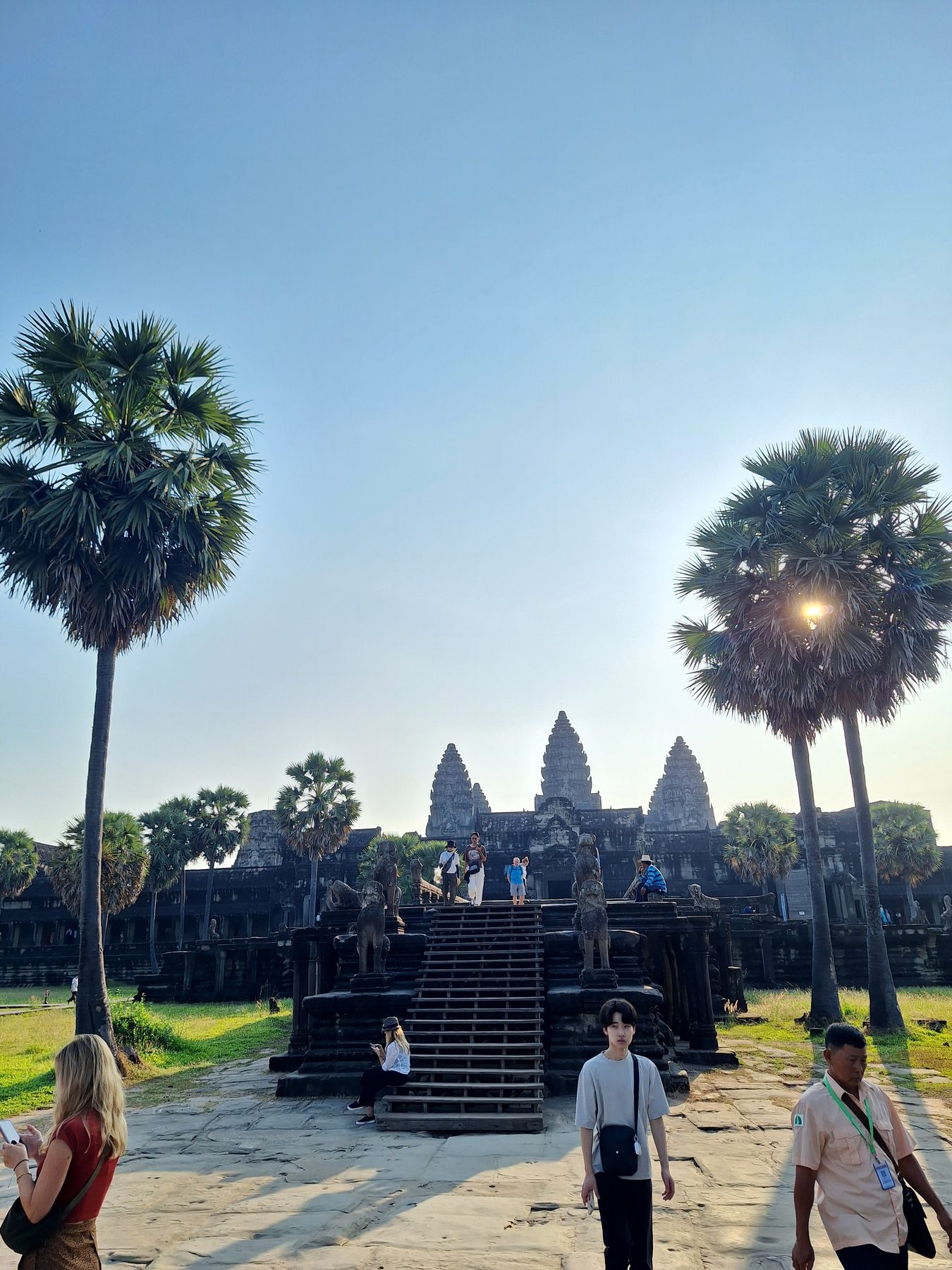 Angkor Wat silhouetted behind palm trees at sunrise, Siem Reap, Cambodia
