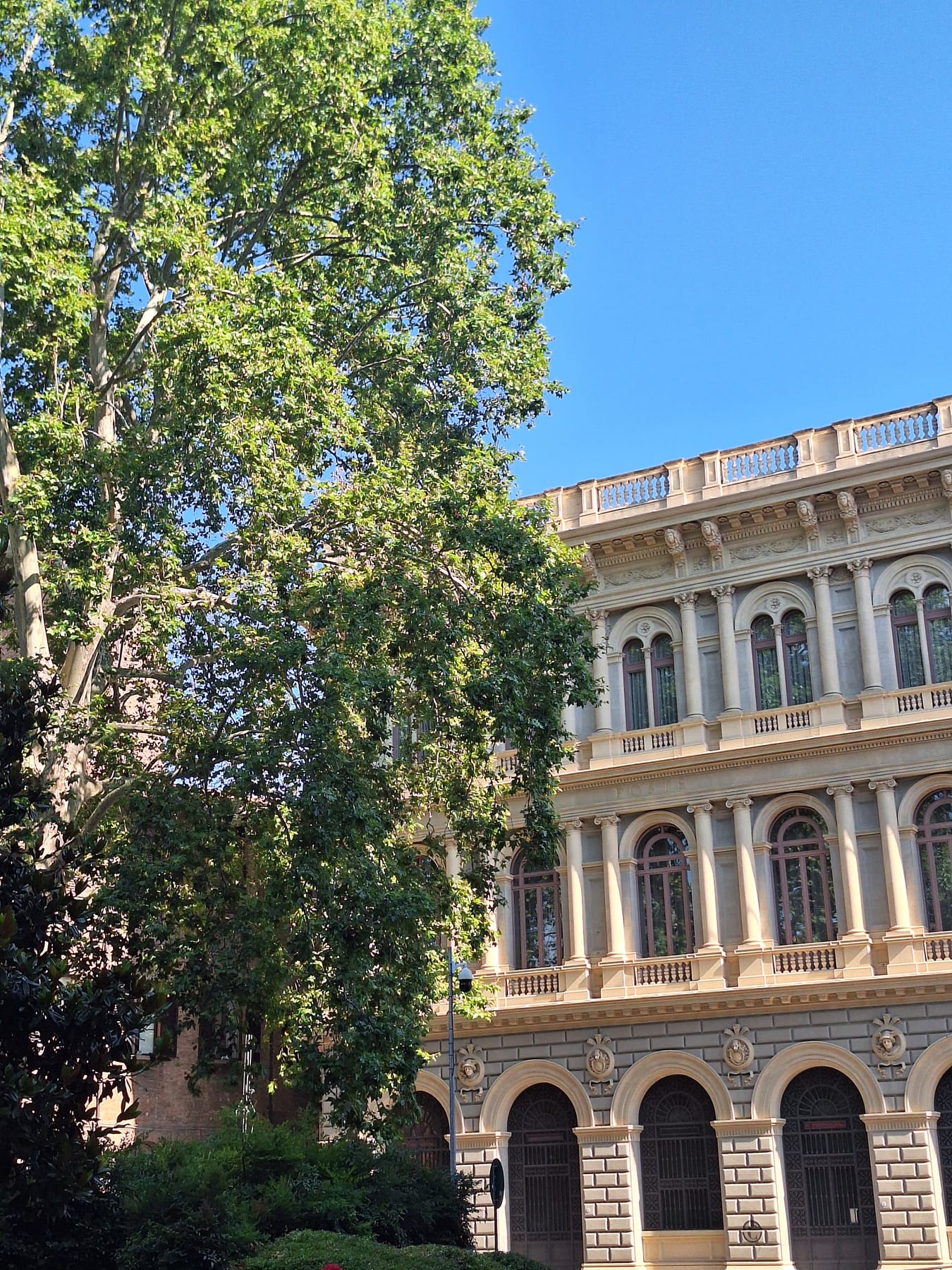 The pale stone façade of a grand palazzo in Bologna, half hidden behind a large plane tree