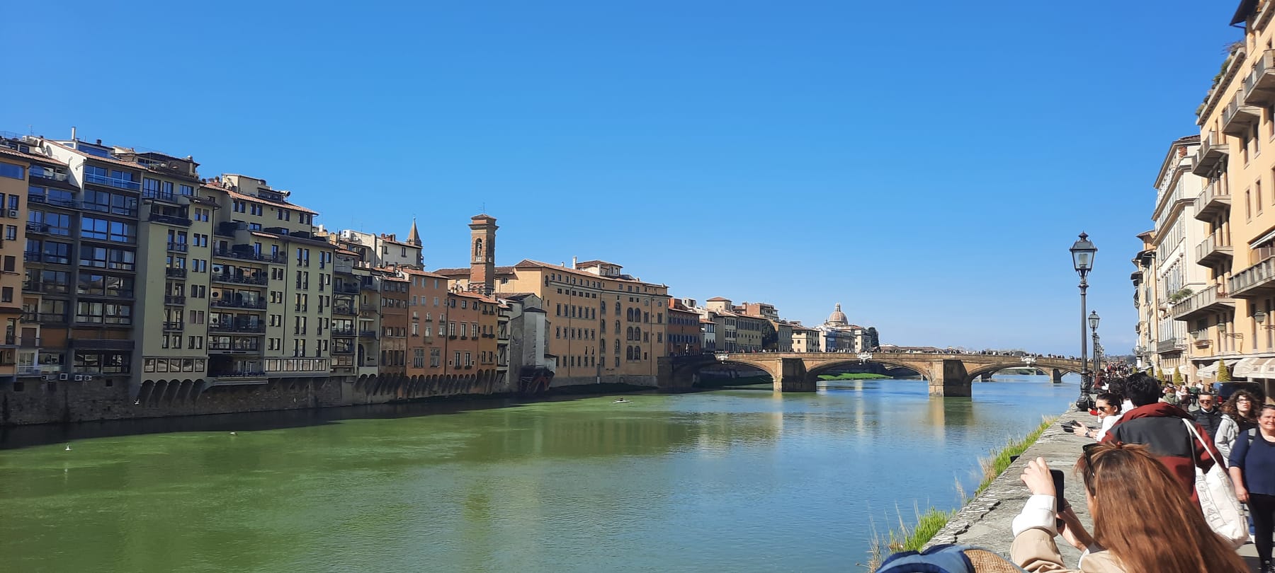 The green Arno flowing between rows of old houses in Florence on a bright morning