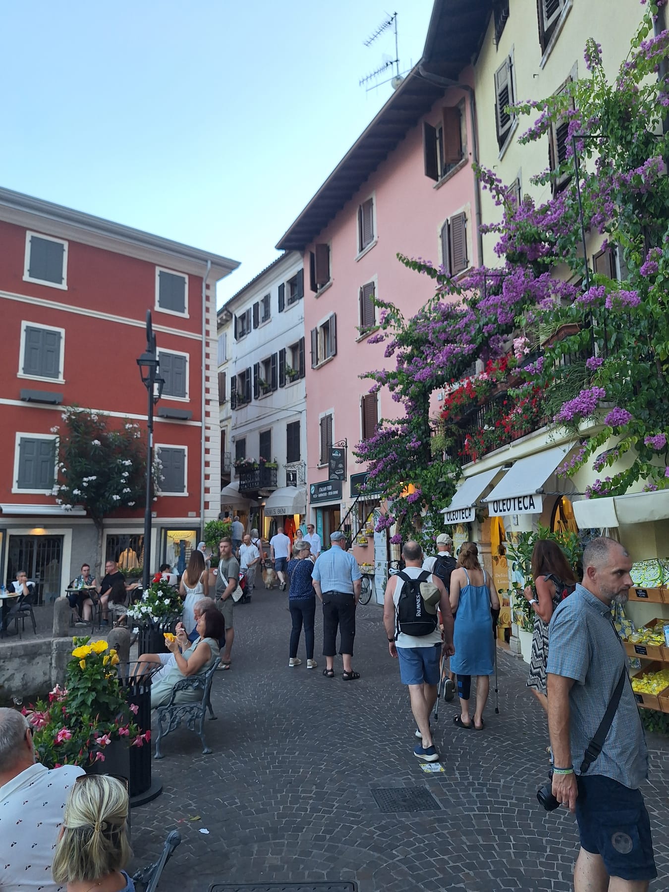 A busy street of colourful houses and shops in Limone, with bougainvillea and fruit stalls