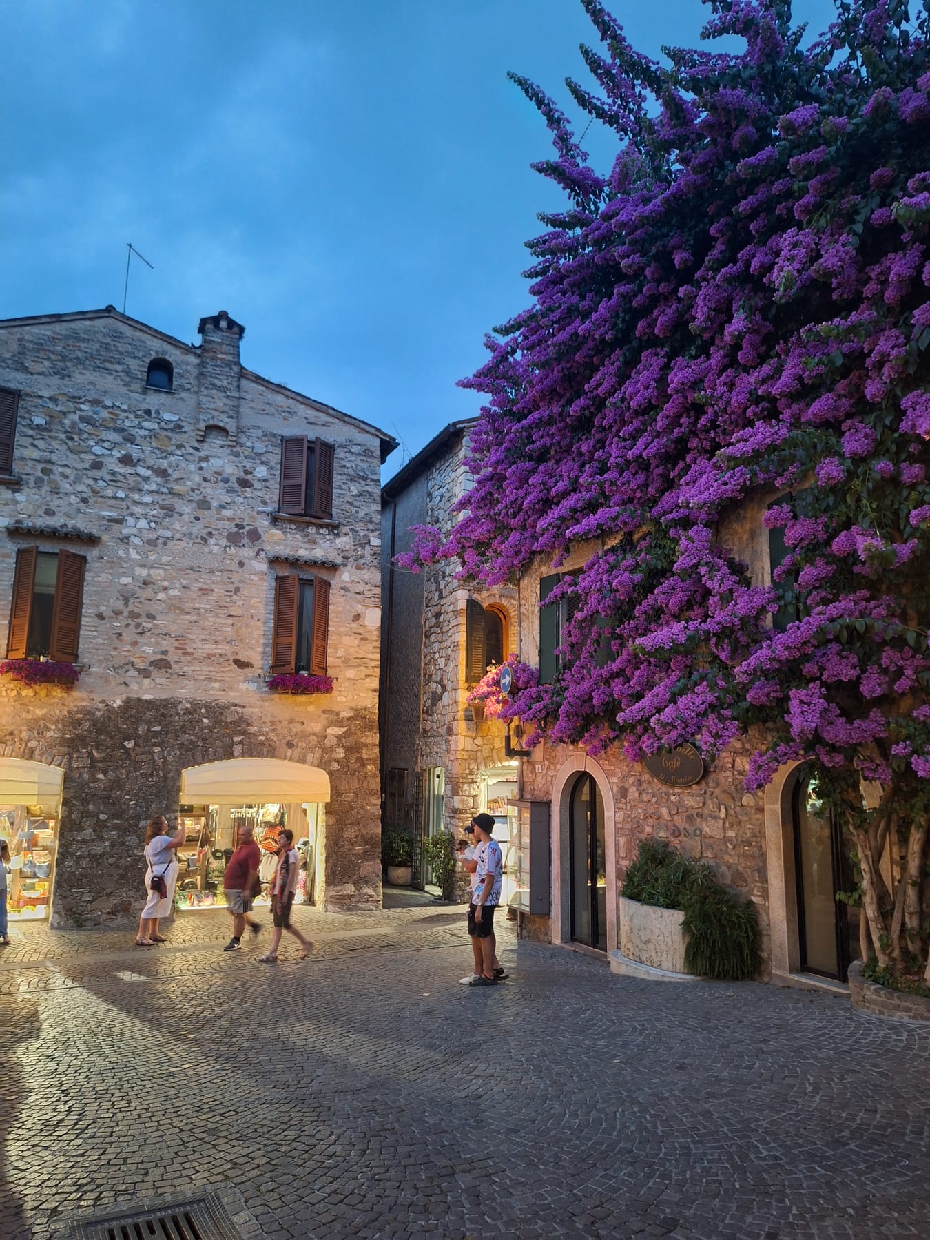 Purple bougainvillea pouring down the front of a stone house in a Sirmione square in the evening