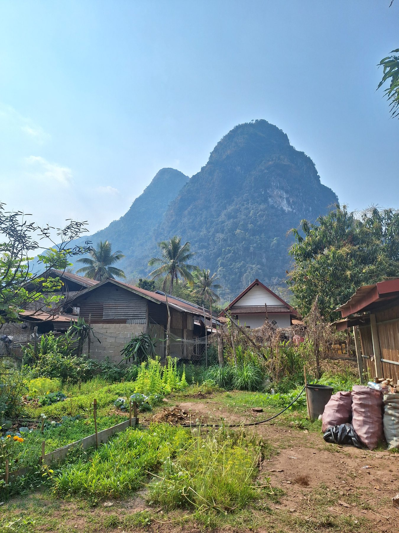 Village houses and vegetable gardens below a steep limestone karst peak at Muang Ngoi, Laos