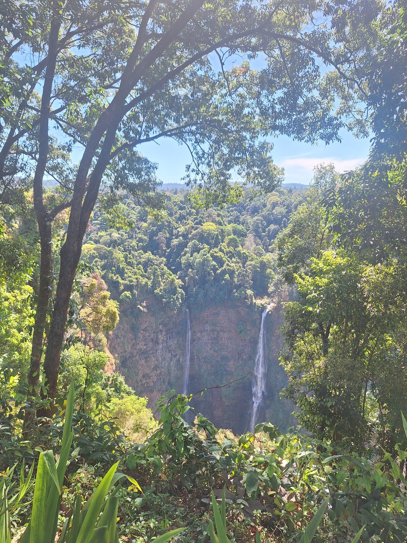 Twin waterfalls seen through jungle on the Bolaven Plateau