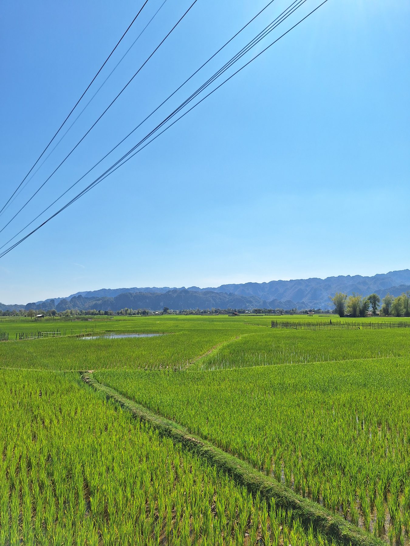 Green rice paddies below limestone hills on the Thakhek loop