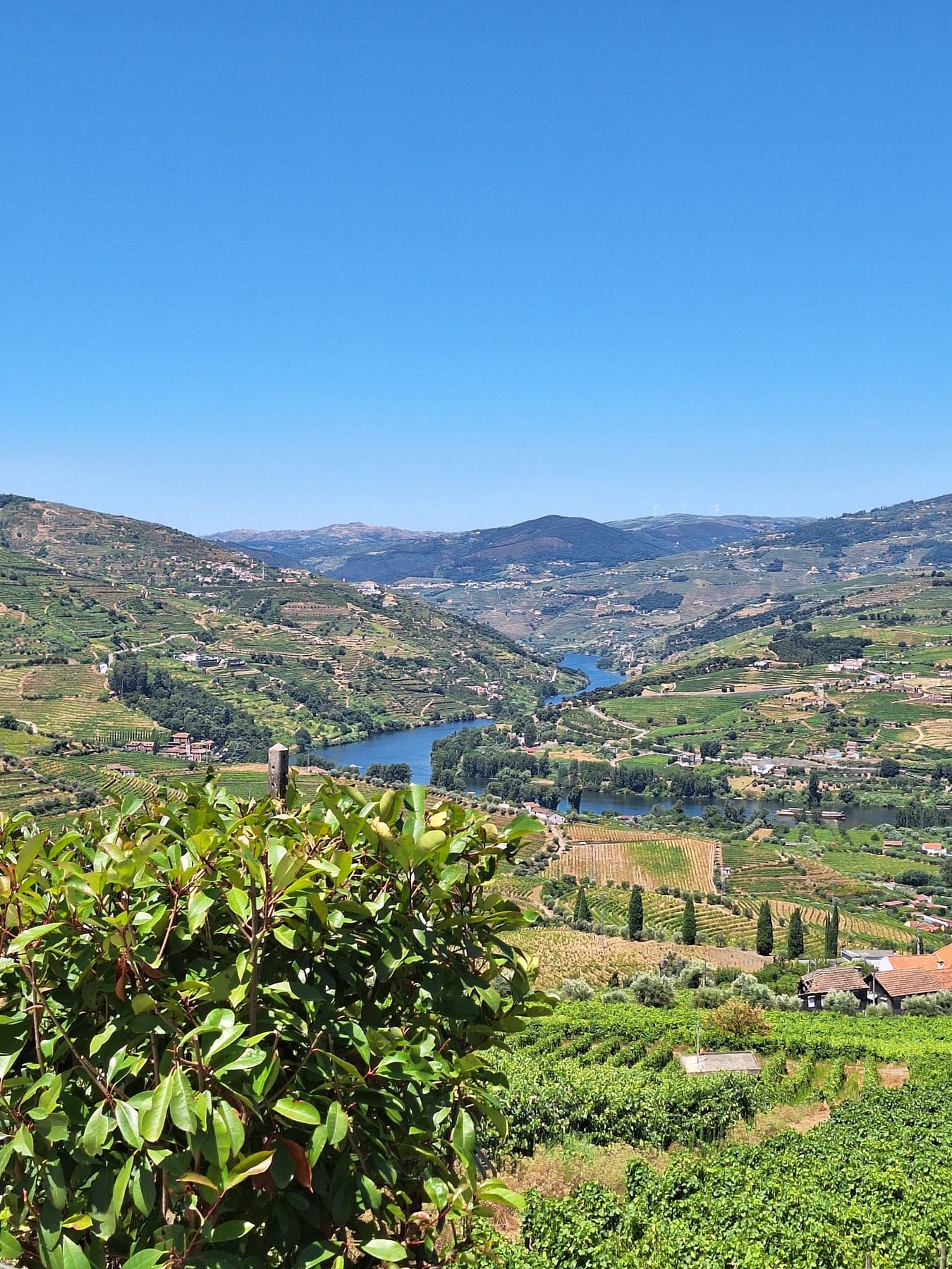 The Douro river winding through a deep valley of terraced vineyards under a clear blue sky