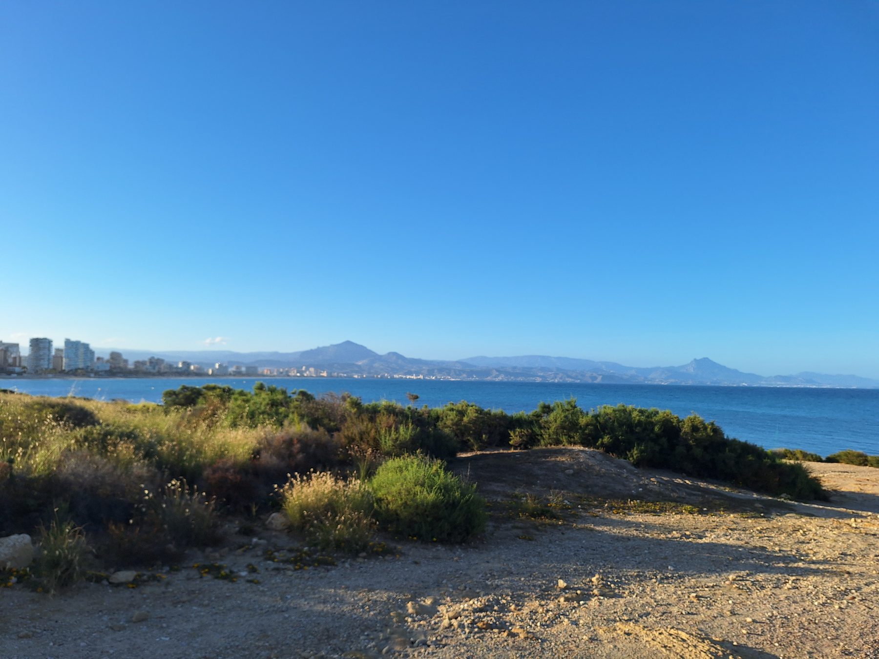 The wide bay at Alicante seen from scrubby headland, with the city along the shore and mountains behind