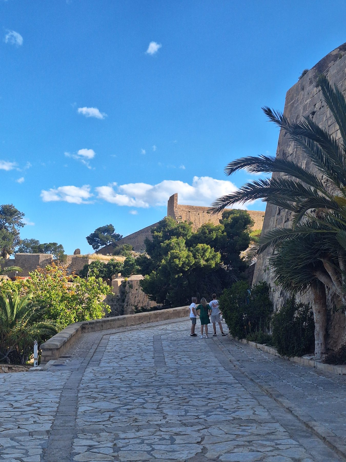 A cobbled ramp lined with palms climbing towards the walls of Santa Bárbara castle in Alicante