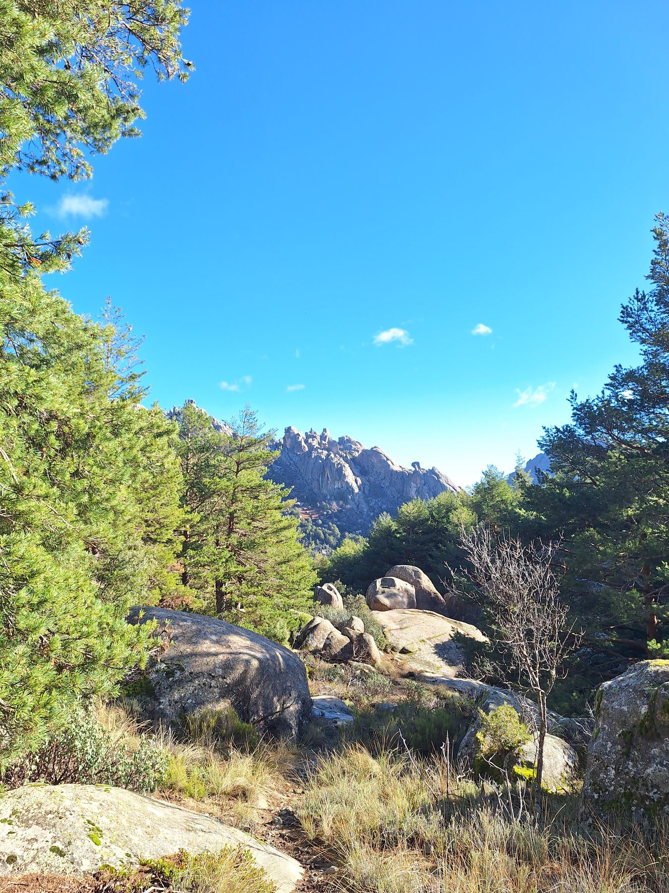 Granite boulders and pine trees below a rocky sierra ridge under a deep blue sky in Spain