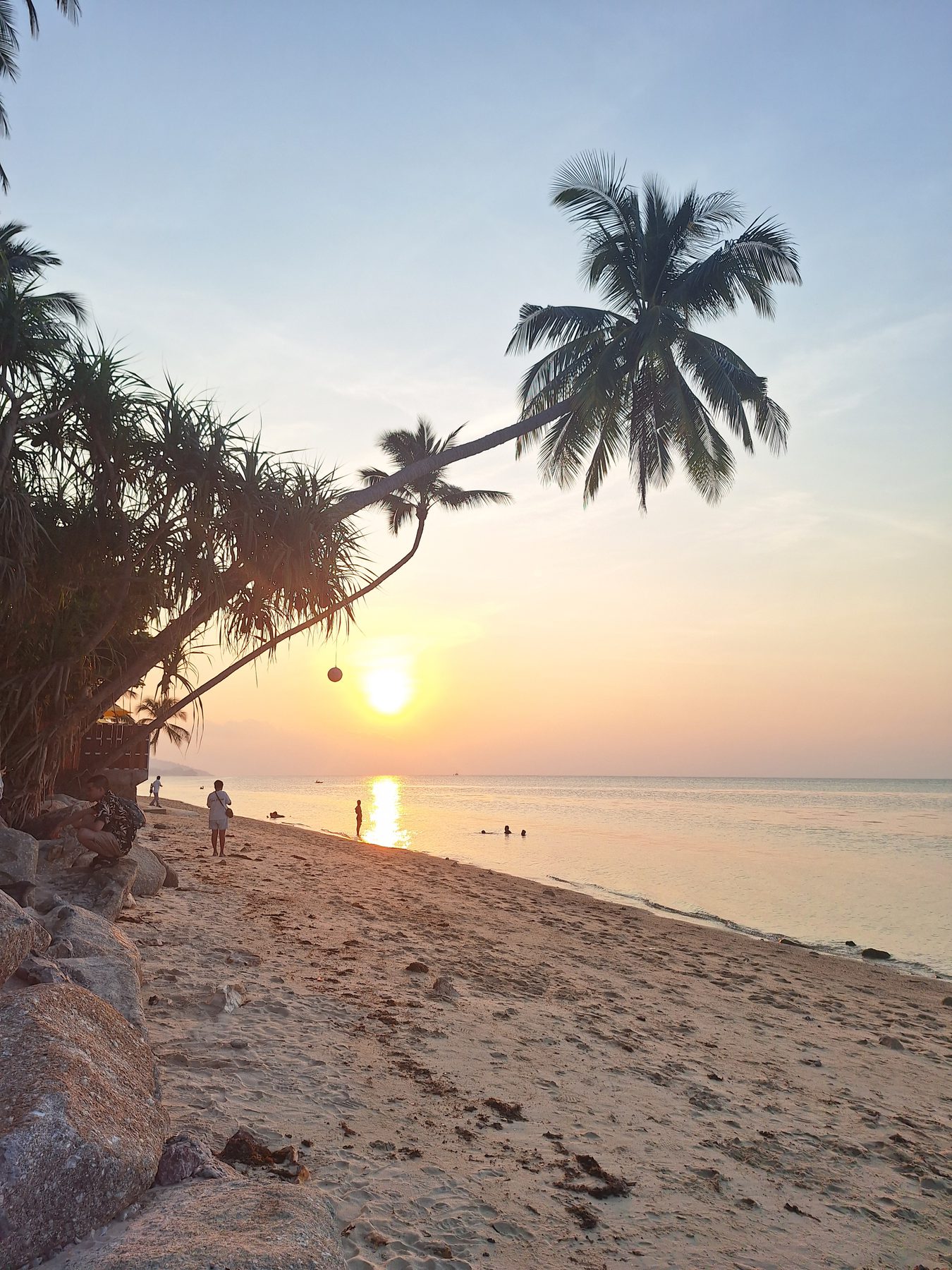 Palm trees leaning over a beach at sunset on Koh Tao, Thailand