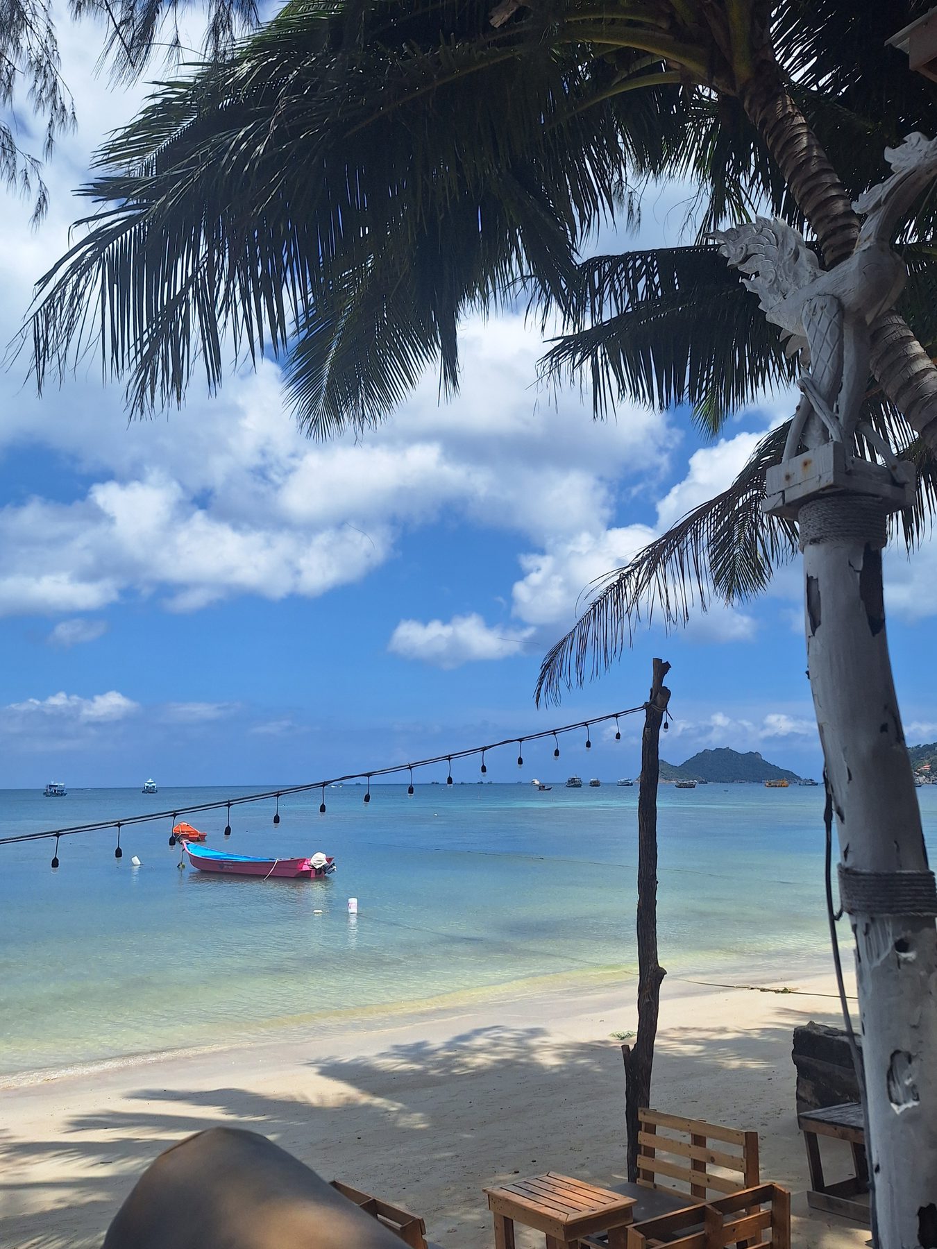 Palm trees over a white beach with longtail boats on Koh Tao, Thailand